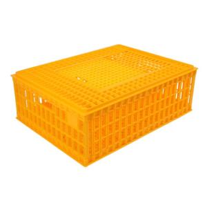 Chicken Cages 4601