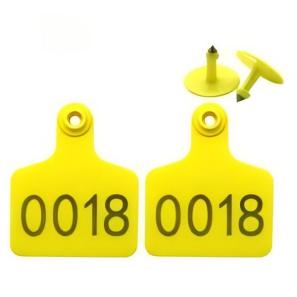 Ear Tag 7101