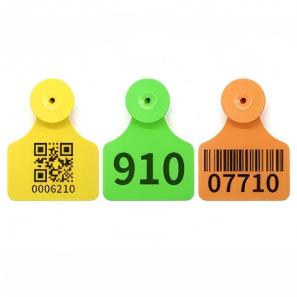 Ear Tag 7103