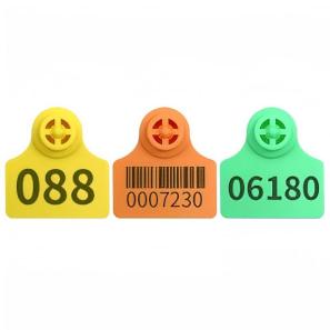 Ear Tag 7104