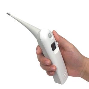 Veterinary Anus Thermometer 5704