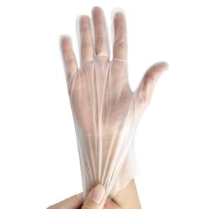 Disposable PE Gloves 5803