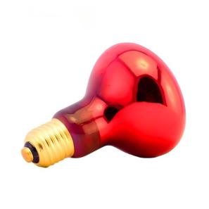 Infrated Heat Bulb 7504