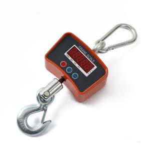 Digital Crane Scale 8005