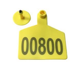 Ear Tag 1206