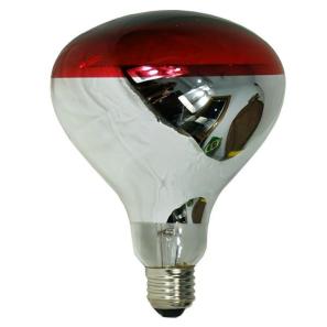 R125 Infrared Heat Lamp 1325R