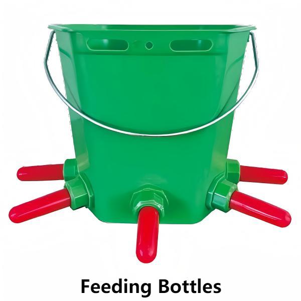 Feeding Bottles 