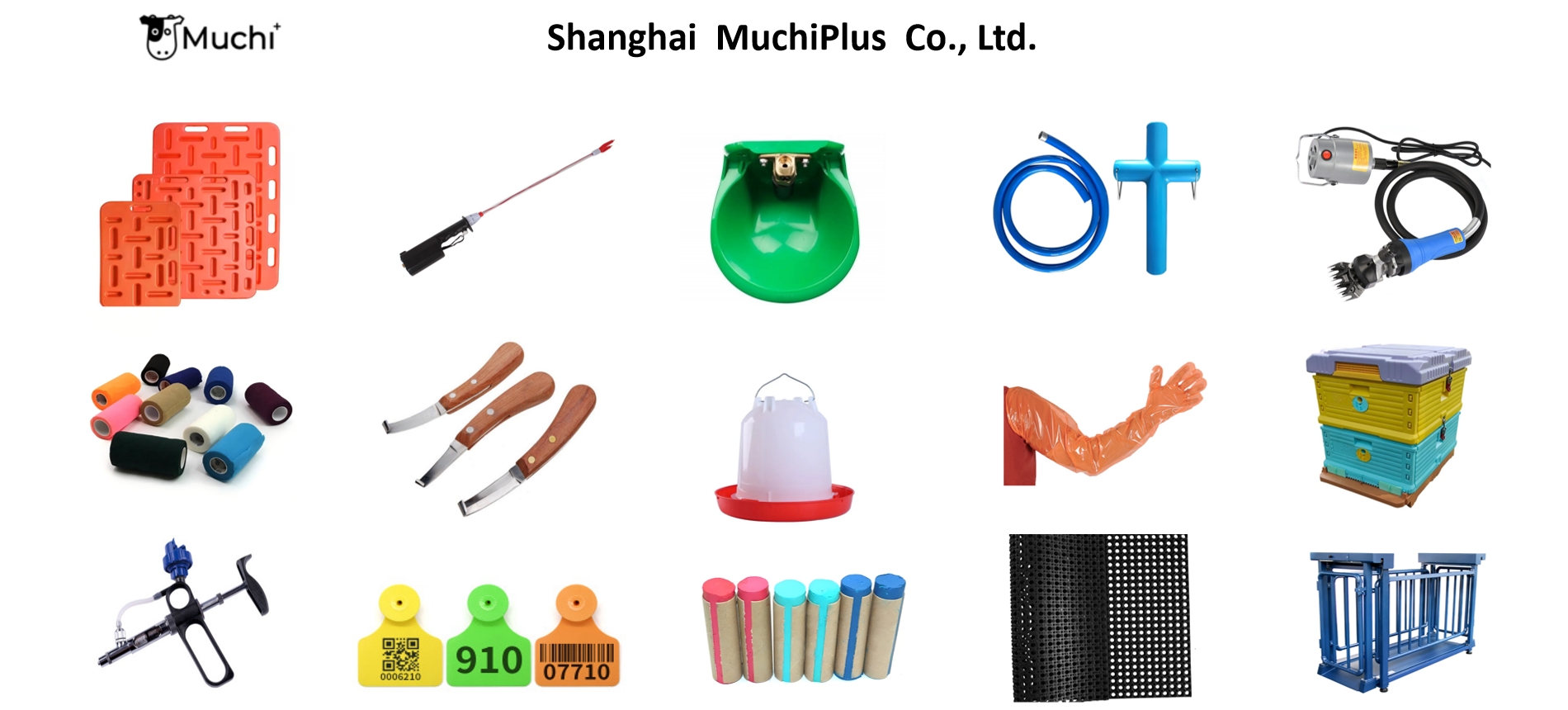 MuchiPlus Company Profile.jpg